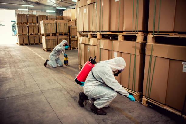 Best Pest Inspection Near Me  in Wheaton, IL