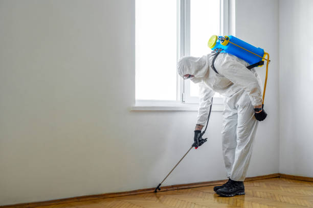 Best Rat Extermination Near Me  in Wheaton, IL