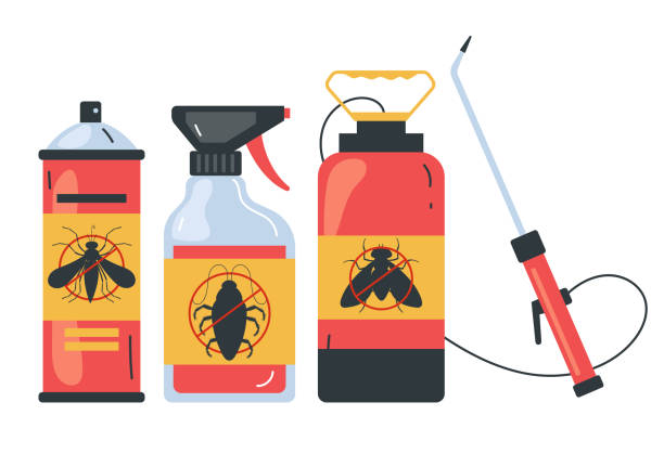 Best Spider Control Near Me  in Wheaton, IL