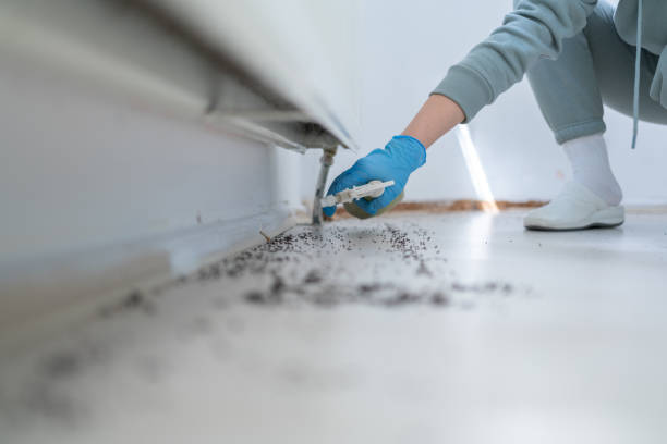 Best Affordable Pest Control Services  in Wheaton, IL