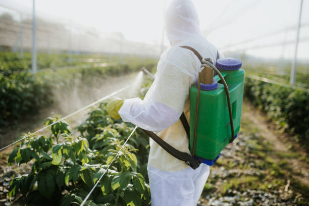 Best Exterminator Services  in Wheaton, IL